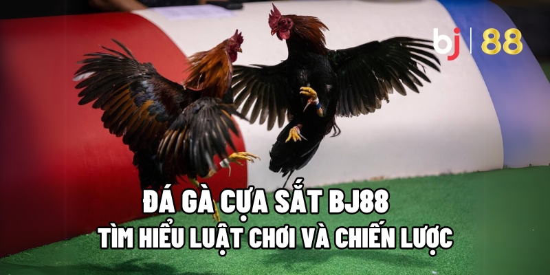 Đá Gà Cựa Sắt BJ88 – Tìm Hiểu Luật Chơi Và Chiến Lược 1 Đá Gà Cựa Sắt
